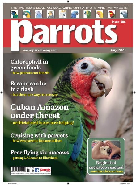 Parrots – July 2023 Cover