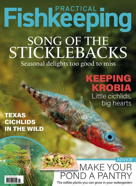 Practical Fishkeeping – July 2023 Cover