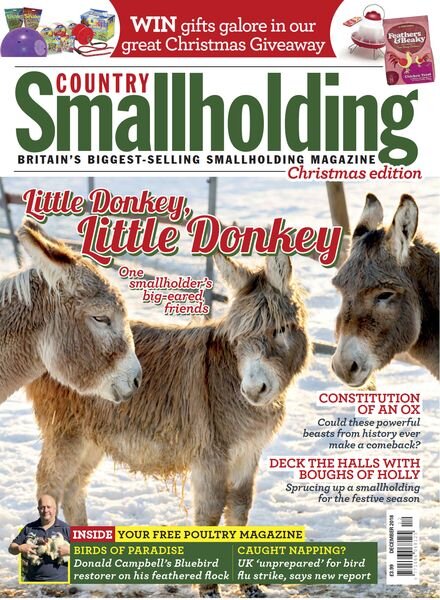 The Country Smallholder – November 2018 Cover