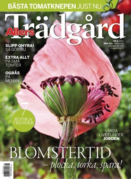 Allers Tradgard – augusti 2023 Cover