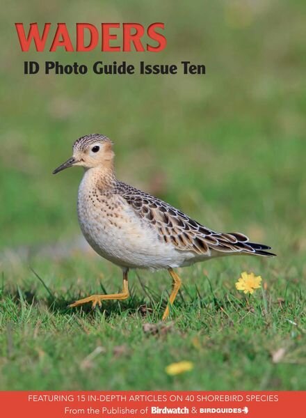Bird ID Photo Guides – July 2023 Cover