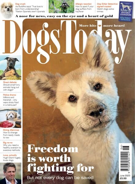 Dogs Today UK – June 2023 Cover