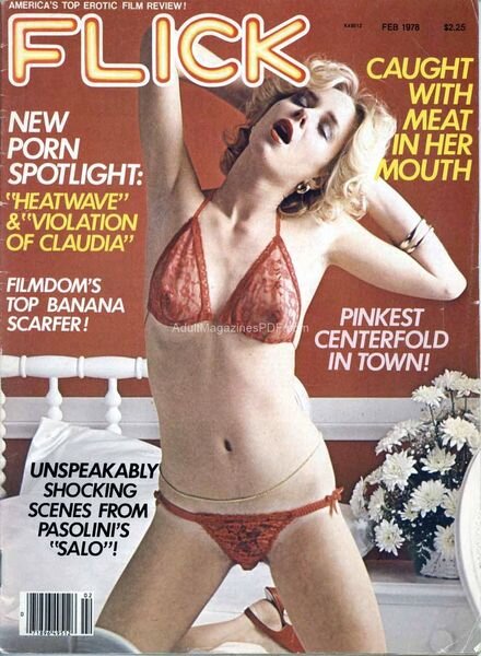 Flick – February 1978 Cover
