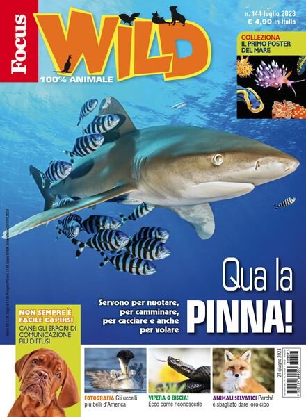 Focus Wild – luglio 2023 Cover