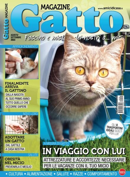 Gatto Magazine – agosto 2023 Cover
