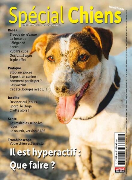 Special Chiens – 01 juin 2023 Cover