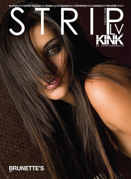 STRIPLV KINK – BRUNETTE’S Volume 2 2023 Cover