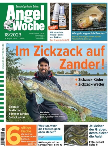 Angel Woche – 18 August 2023 Cover