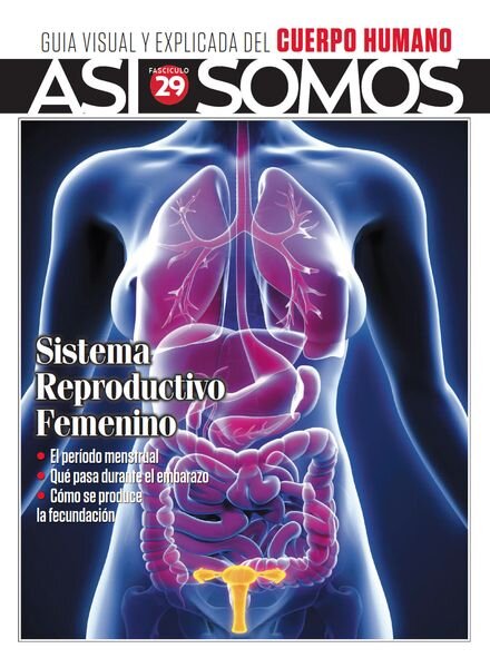 Asi Somos – El cuerpo humano – Agosto 2023 Cover