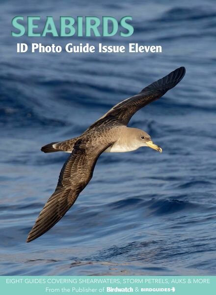 Bird ID Photo Guides – Seabirds – August 2023 Cover