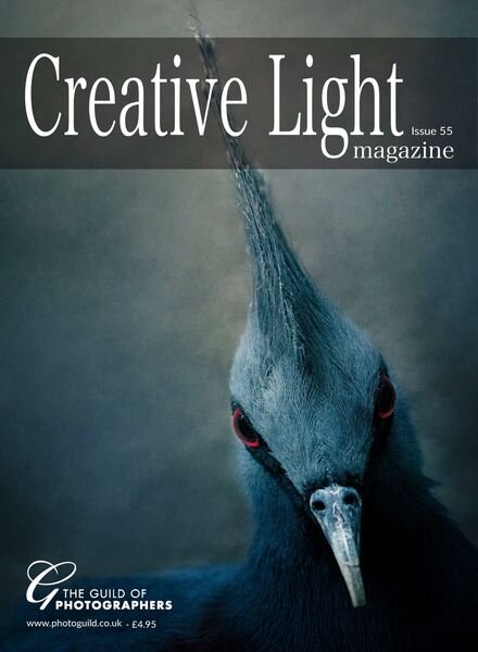 Creative Light – Issue 55 2023 Cover