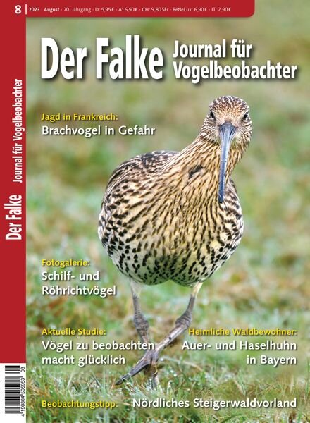 Der Falke Journal fur Vogelbeobachter – August 2023 Cover