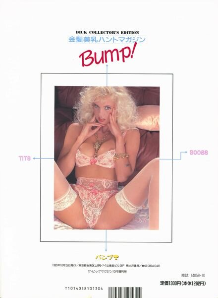 Dick World Beauties D-Cup Collection – Vol 01 1993 Cover