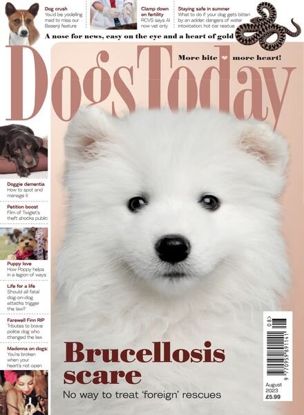 Dogs Today UK – August 2023 Cover