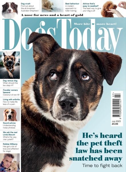 Dogs Today UK – July 2023 Cover