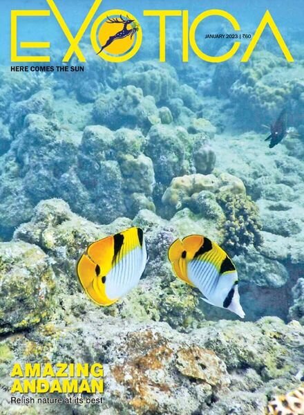 Exotica Magazine – January 2023 Cover