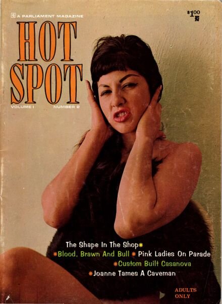 Hot Spot – Vol 01 N 02 Cover