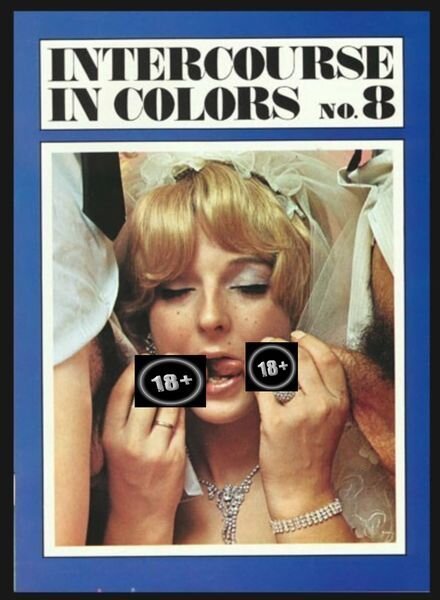 Intercourse in Color – N 8 Cover