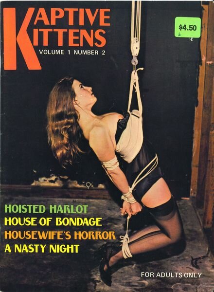 Kaptive Kittens – Vol 01 N 02 1974 Cover