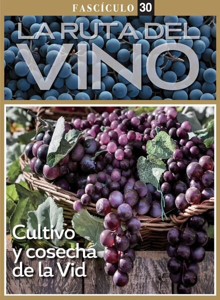 La ruta del Vino – Agosto 2023 Cover