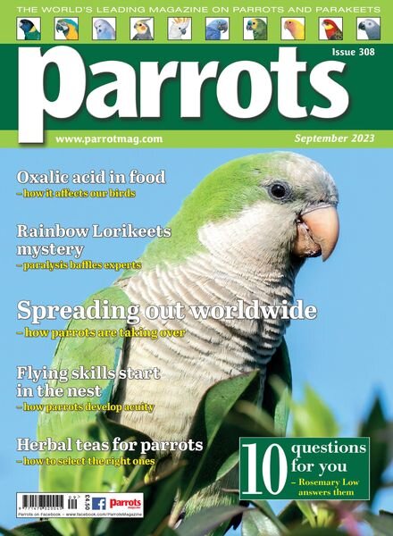Parrots – Issue 308 – September 2023 Cover