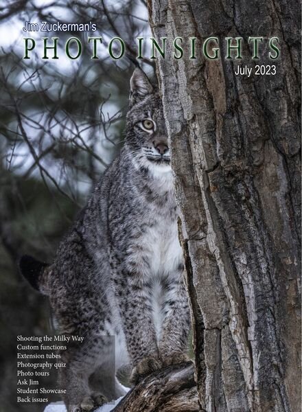 Photo Insights – July 2023 Cover