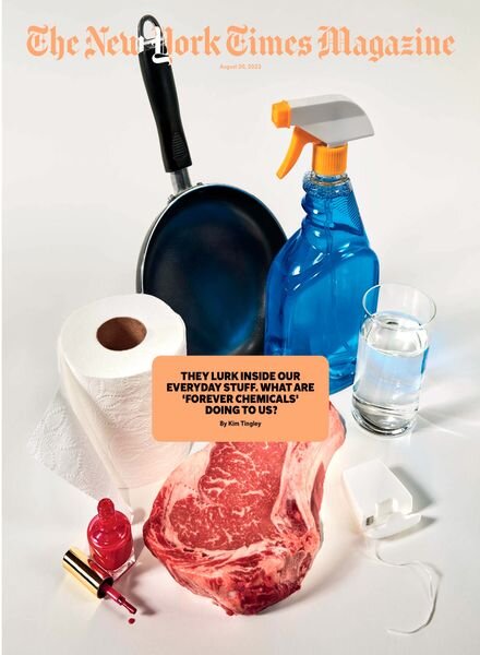 The New York Times Magazine – 20 August 2023 Cover