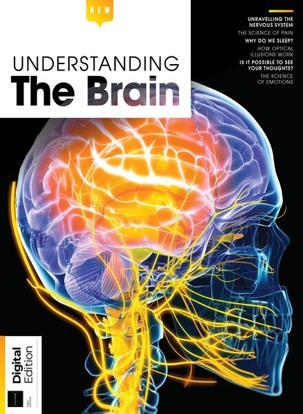 Understanding The Brain – 1st Edition – August 2023 Cover