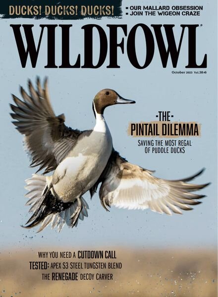 Wildfowl – October 2023 Cover