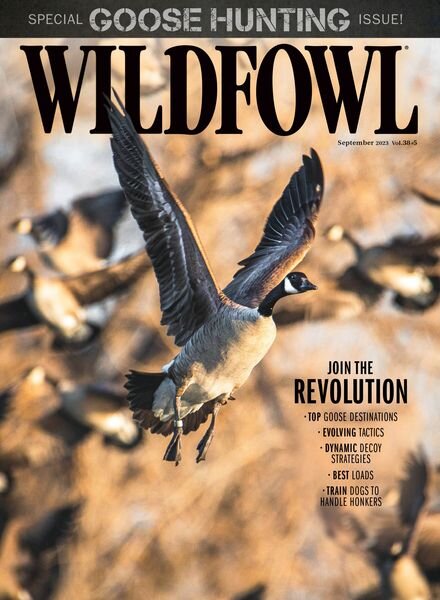 Wildfowl – September 2023 Cover