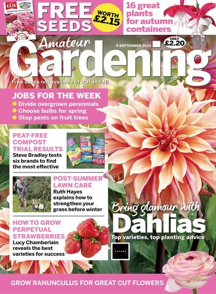 Amateur Gardening – 9 September 2023 Cover