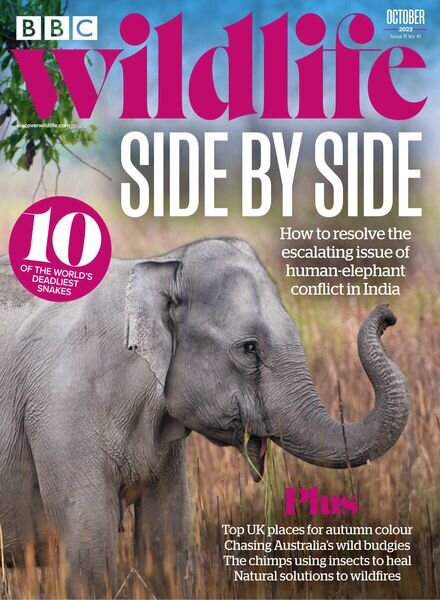 BBC Wildlife – October 2023 Cover