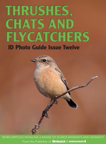Bird ID Photo Guides – Thrushes Chats and Flycatchers 2023 Cover