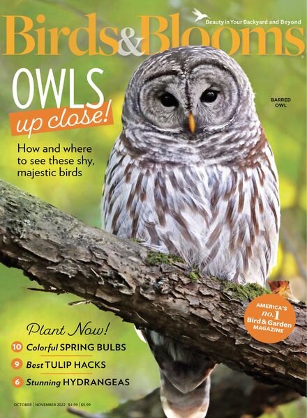 Birds & Blooms – October-November 2022 Cover