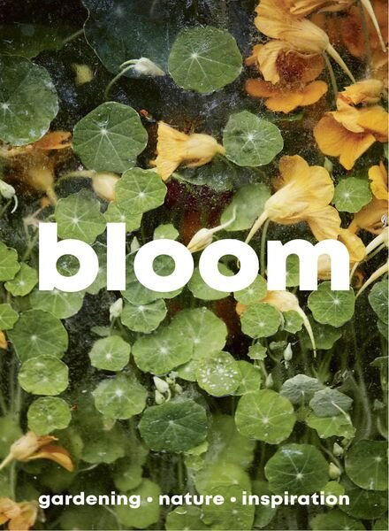 Bloom – Issue 15 2023 Cover