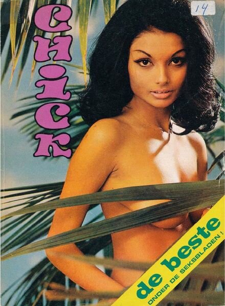 Chick Netherlands – Nr 14 1971 Cover