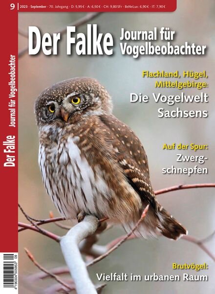 Der Falke Journal fur Vogelbeobachter – September 2023 Cover