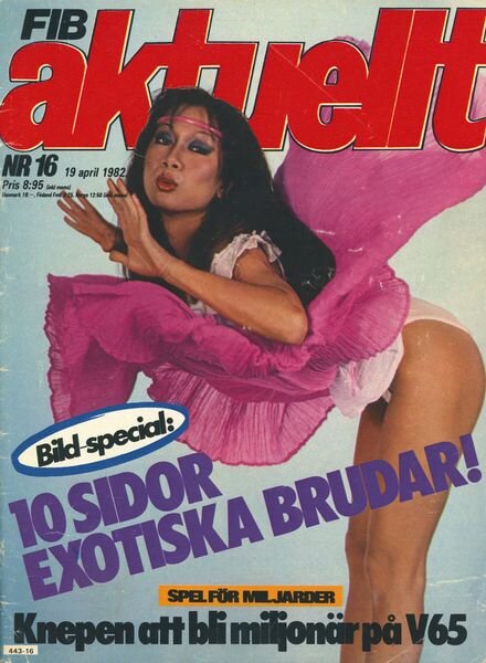 FIB Aktuellt – N 16 April 1982 Cover