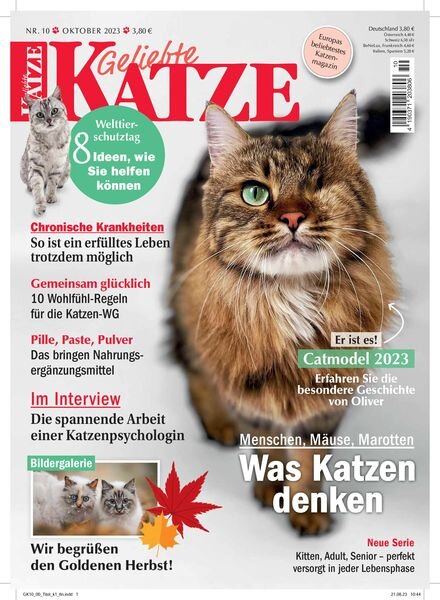 Geliebte Katze – Oktober 2023 Cover