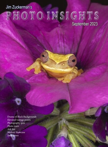 Photo Insights – September 2023 Cover