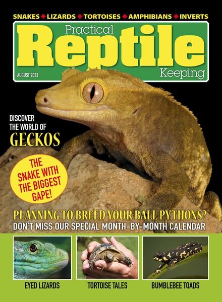 Practical Reptile Keeping – August 2023 Cover