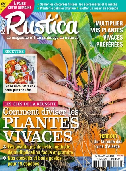 Rustica – 25 Aout 2023 Cover