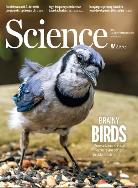 Science – 15 September 2023 Cover