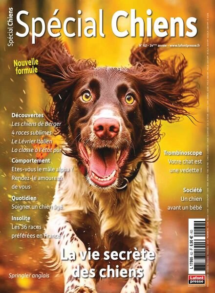 Special Chiens – Octobre-Decembre 2023 Cover
