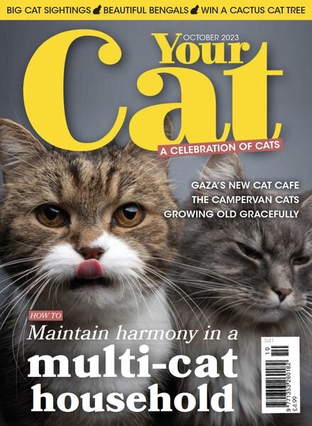 Your Cat – October 2023 Cover