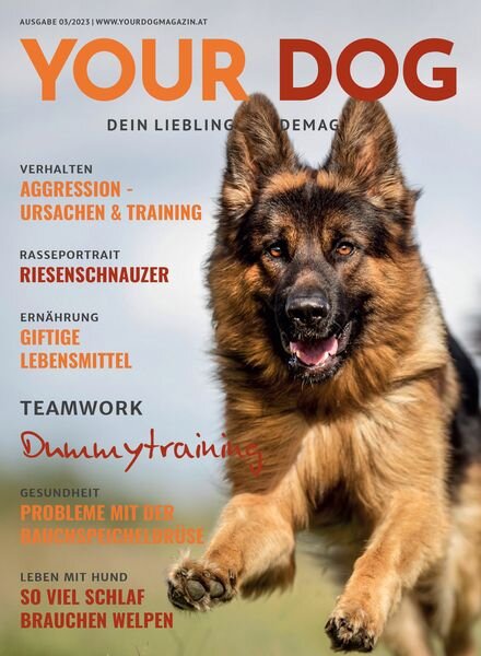 Your Dog Austria – Oktober-Dezember 2023 Cover