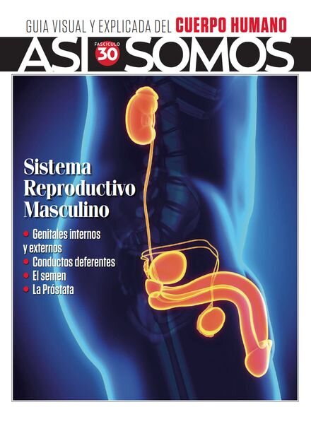 Asi Somos El cuerpo humano – 6 Octubre 2023 Cover
