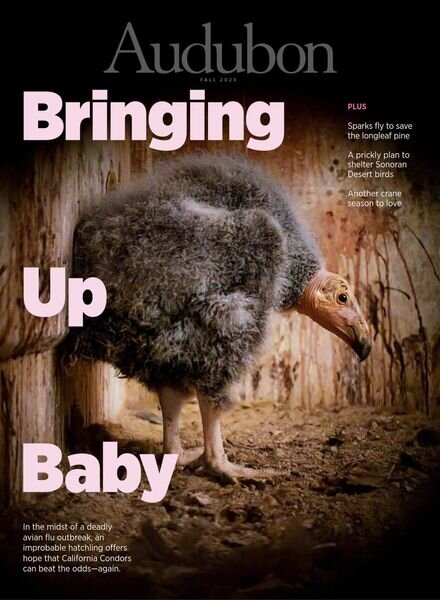 Audubon Magazine – Fall 2023 Cover