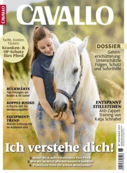 Cavallo – November 2023
