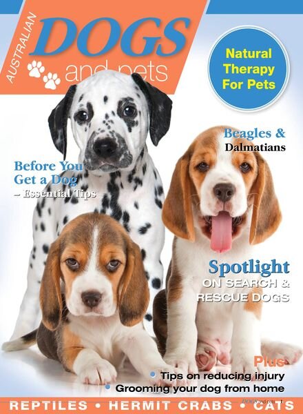 Dogs and Pets – Issue 4 – October 2023 Cover